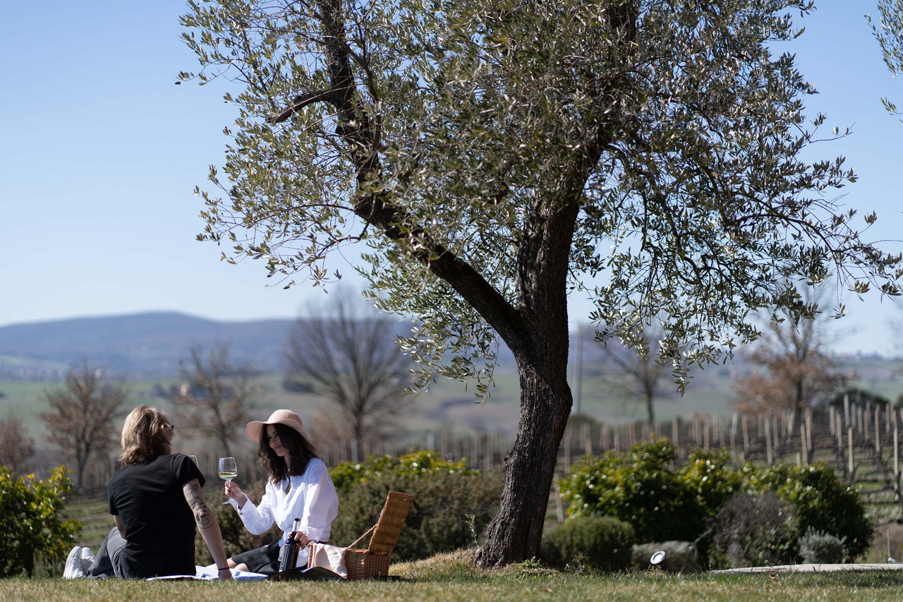 Wine Lover in Umbria 2