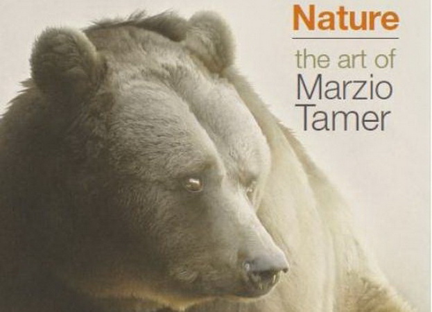  Nature the art of Marzio Tamer