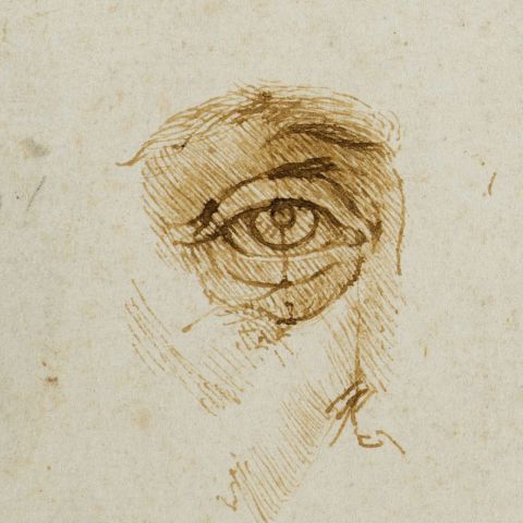 Leonardo da Vinci, Studi di proporzione del volto e dell'occhio